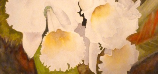 The Daffodils, Watercolor, 19" x 18"
