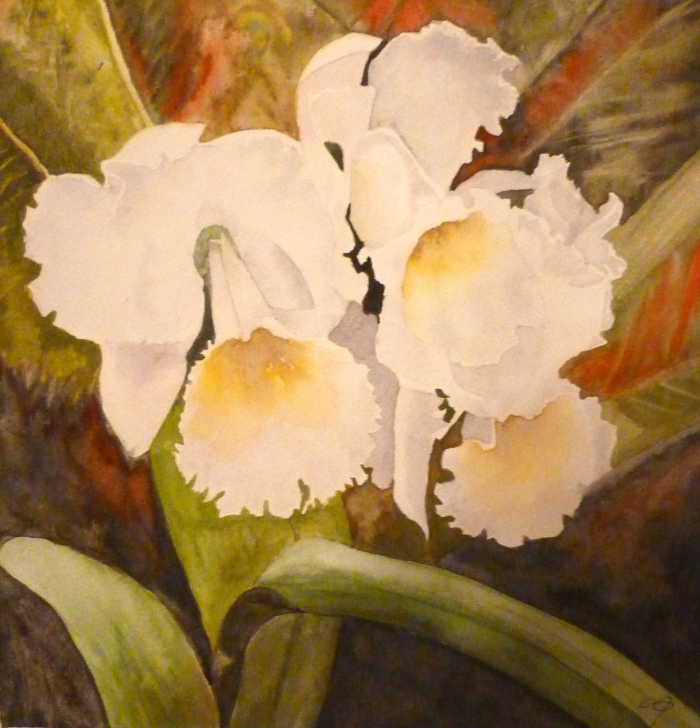 Daffodils, Watercolor, 19" x 18"