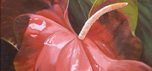 Anthuriums Oil on Wrapped Canvas 11" x 14"