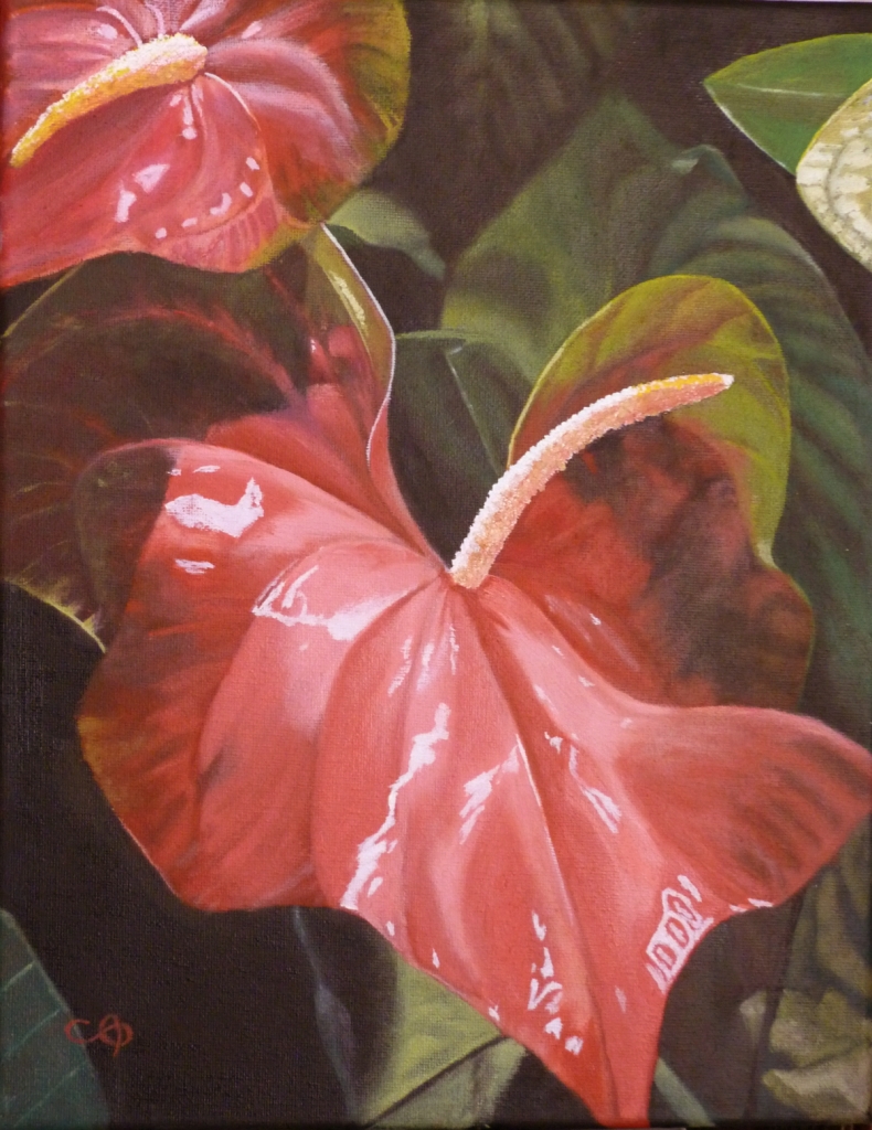 Anthuriums Oil on Wrapped Canvas 11" x 14"