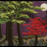 Maple in the MOonlight-thumbnail